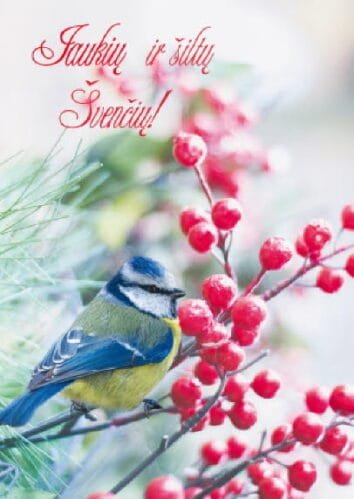 Kalėdinis Atvirukas (105x148mm) 7578