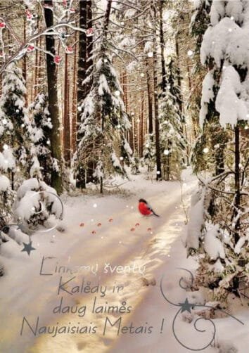 Kalėdinis Atvirukas (105x148mm) 6777