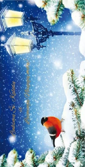 Kalėdinis Naujametinis Atvirukas 7580